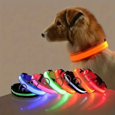 تضيء LED كلب طوق السلامة ليلة المشي وامض توهج في الظلام LED كلب بطارية طوق كلب صغير متوسط كبير - صورة 1