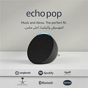 Echo Pop - صورة 1