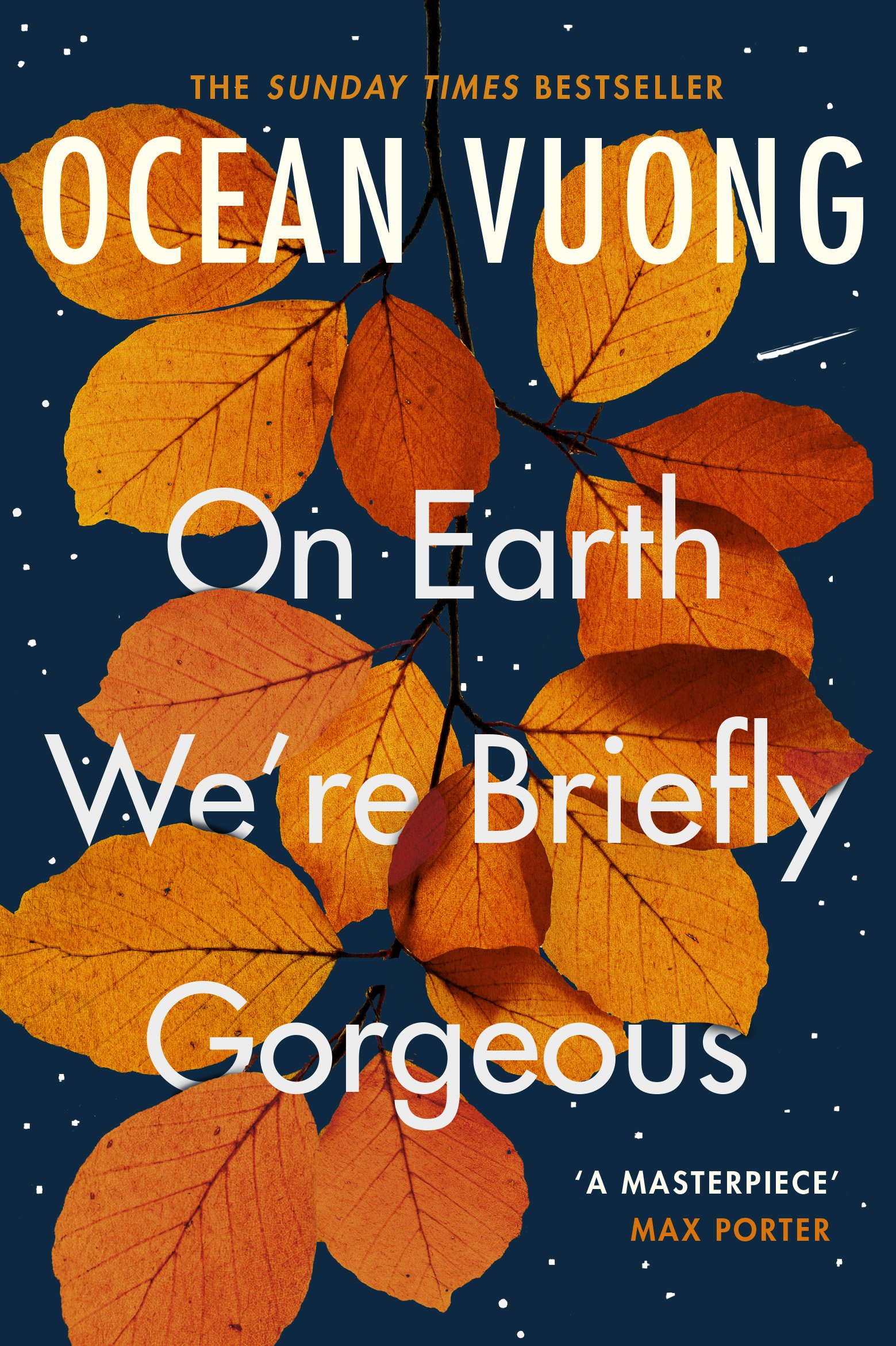 On Earth We're Briefly Gorgeous - صورة 1