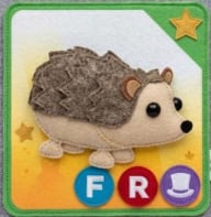 قنفذfr - صورة 1