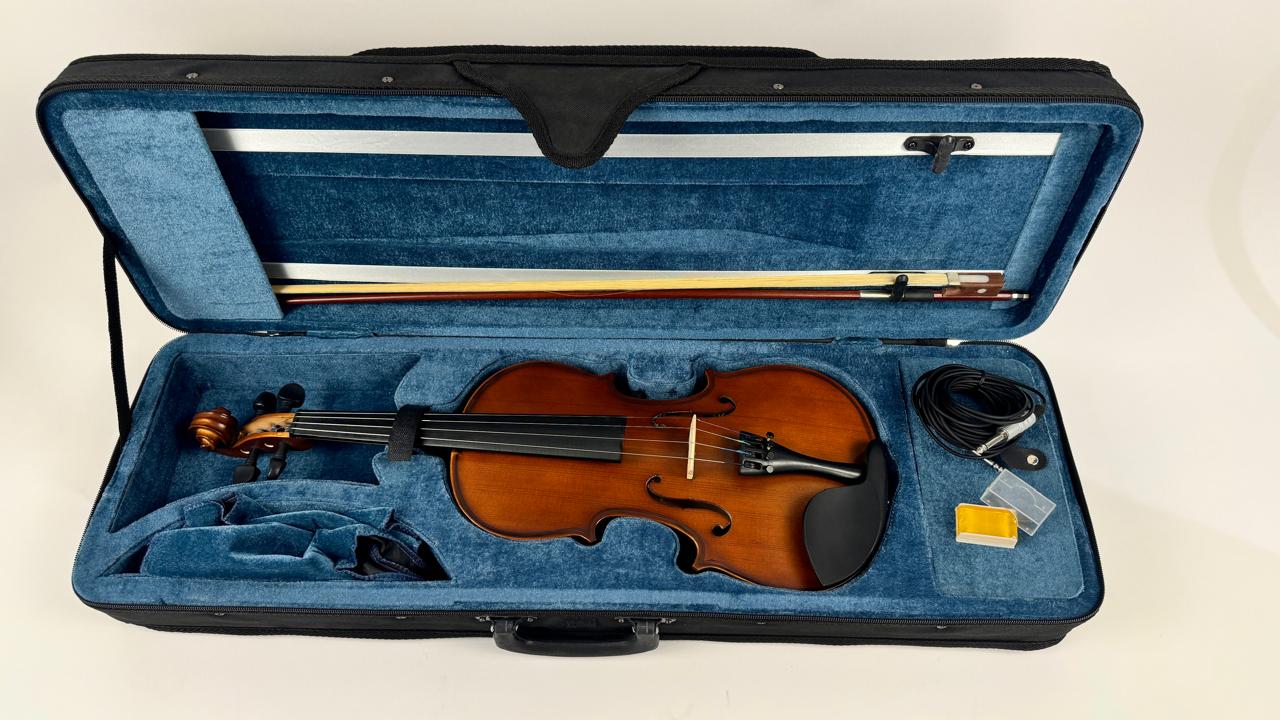 Electric Premium Chinese Violin Made by Desire - Image 20