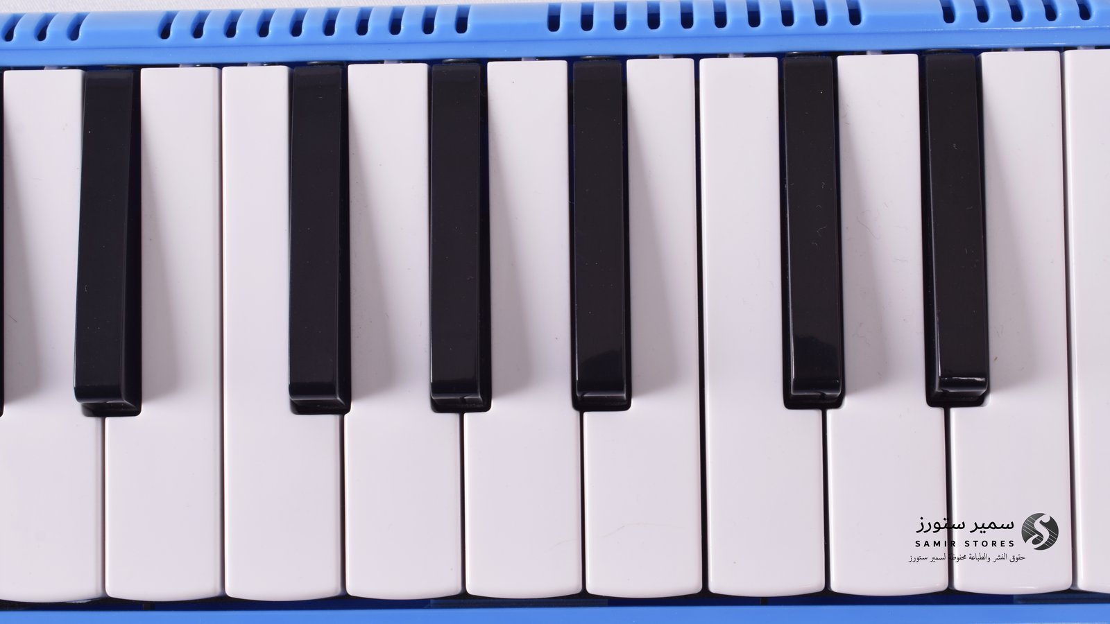Melodica Small Size - Image 6