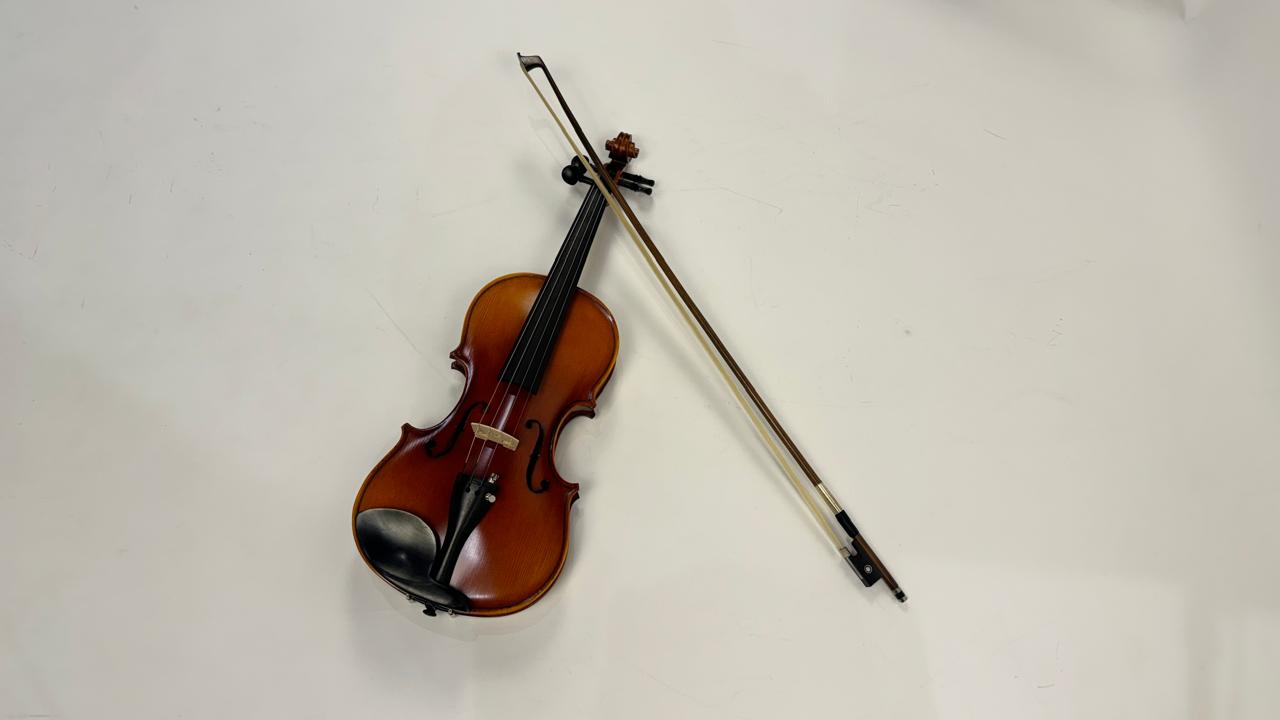 Premium Chinese Violin Made by Desire 4/4 - Image 15