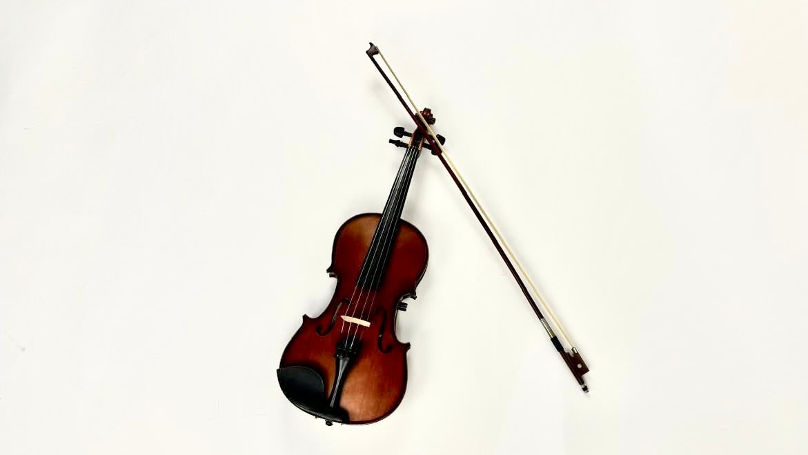 Electric Premium Chinese Violin Made by Desire - Image 19