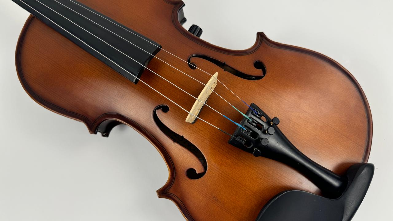 Electric Premium Chinese Violin Made by Desire - Image 10