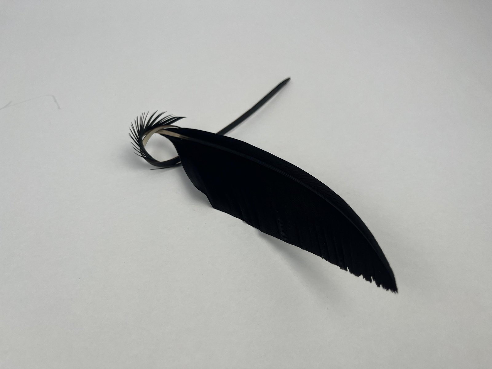Black Eagle Oud Pick - Image 10