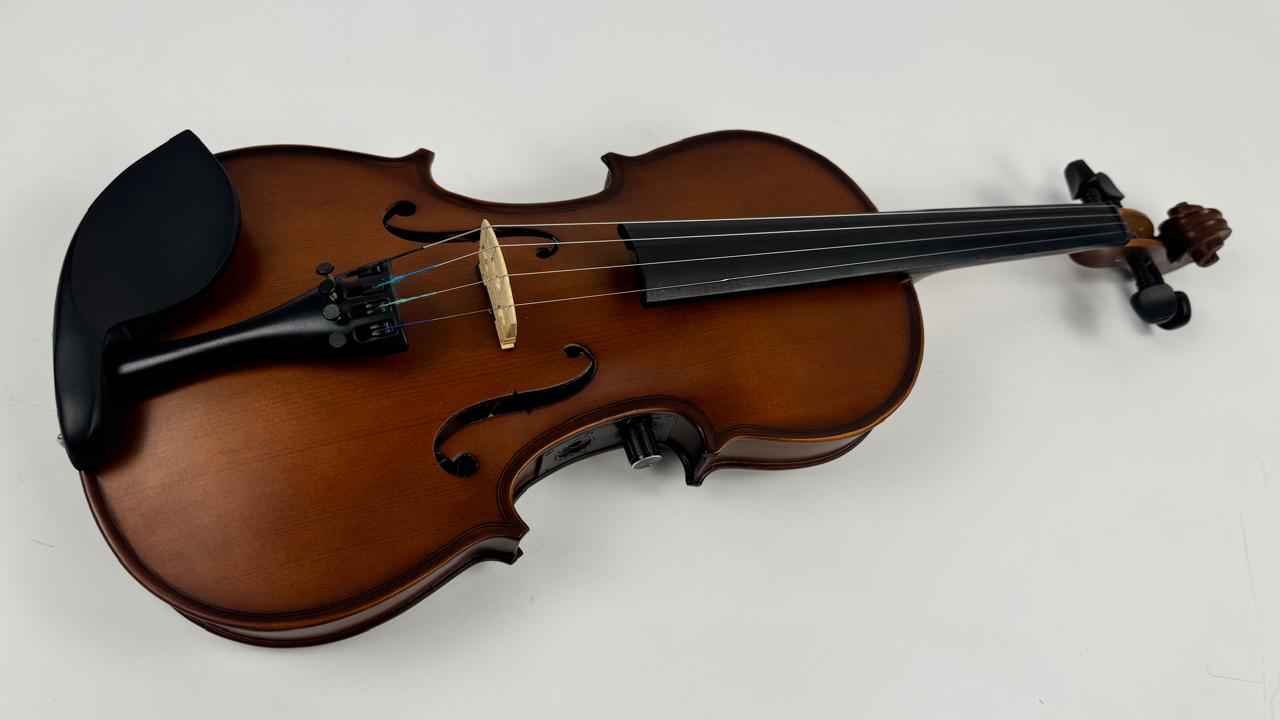 Electric Premium Chinese Violin Made by Desire - Image 5