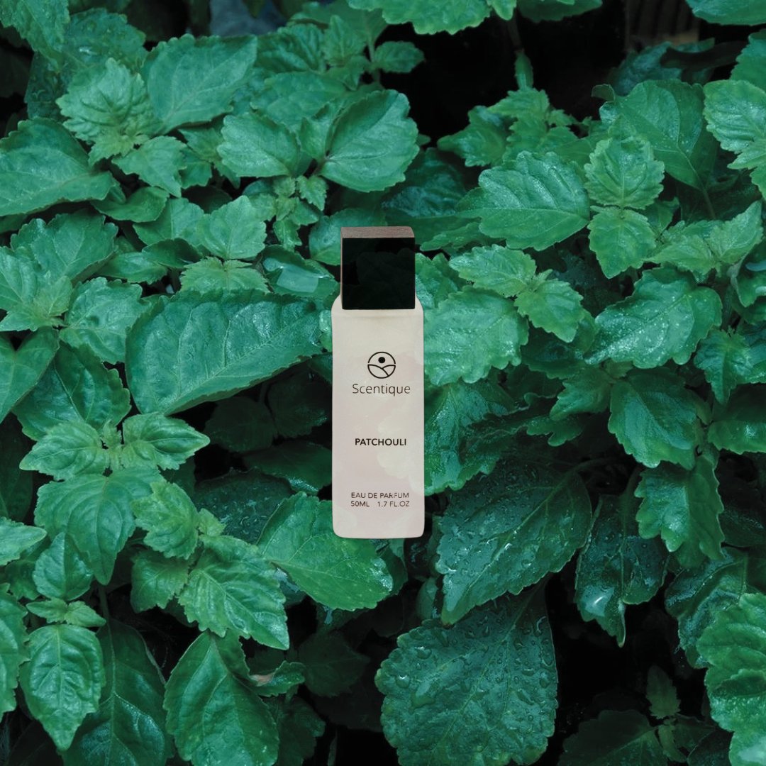 Patchouli Scentique - Image 1