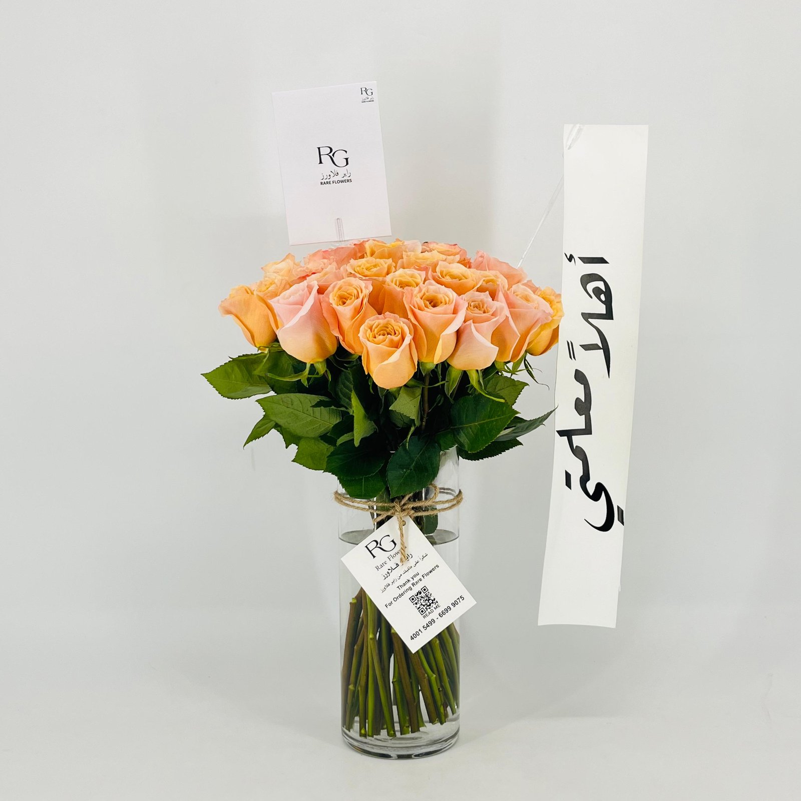 13586 - Image 1