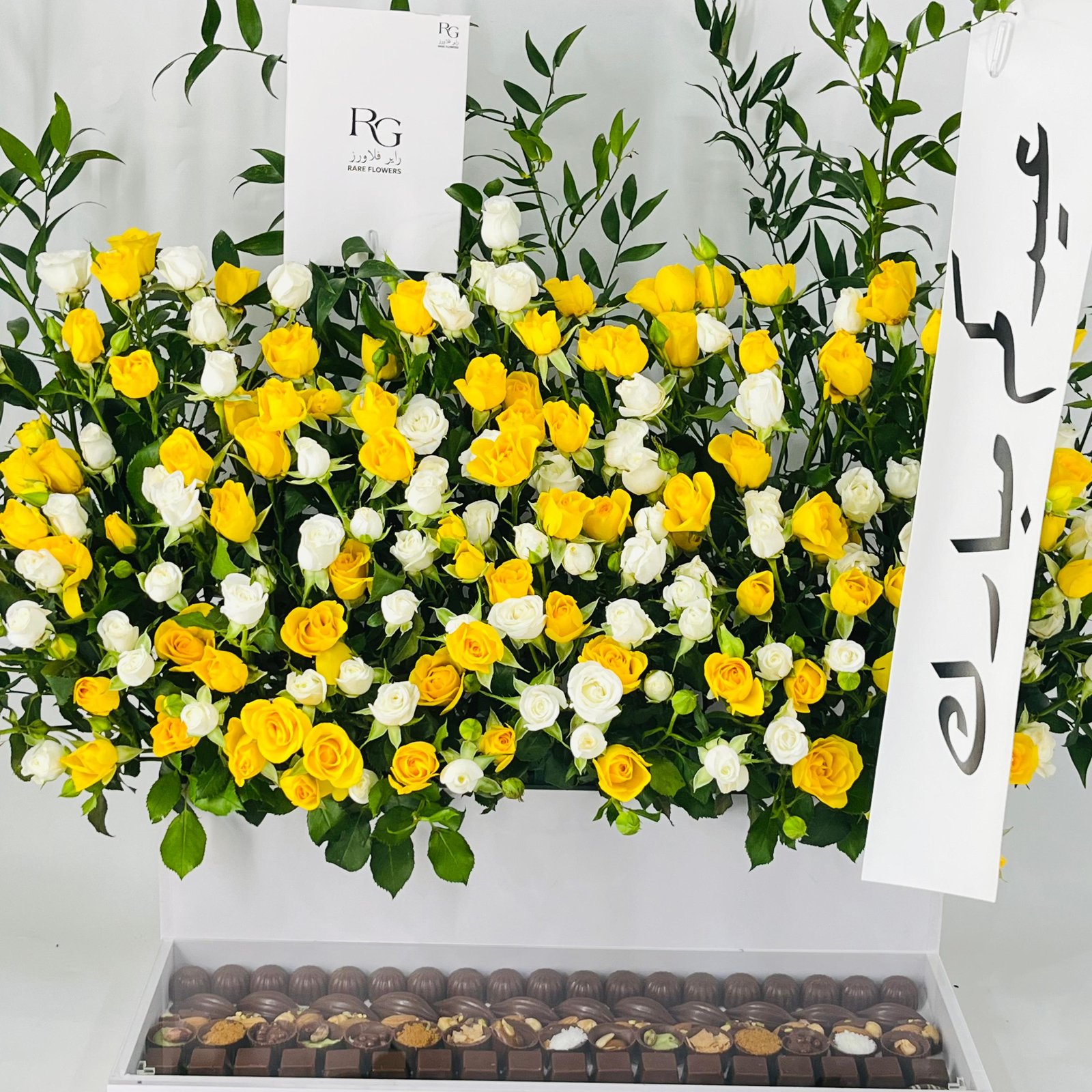 12049 - Image 5