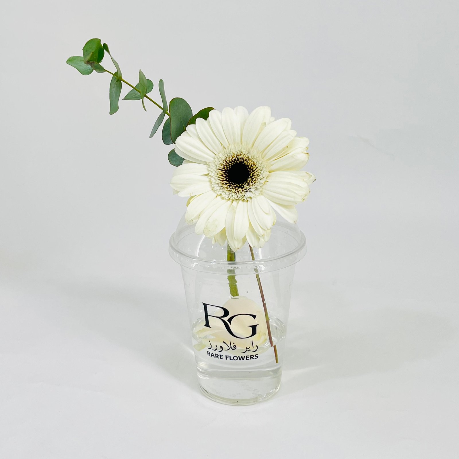 10799 - Image 3