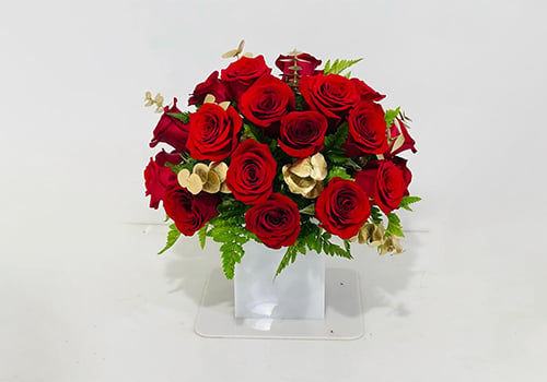 4642 - صورة 1