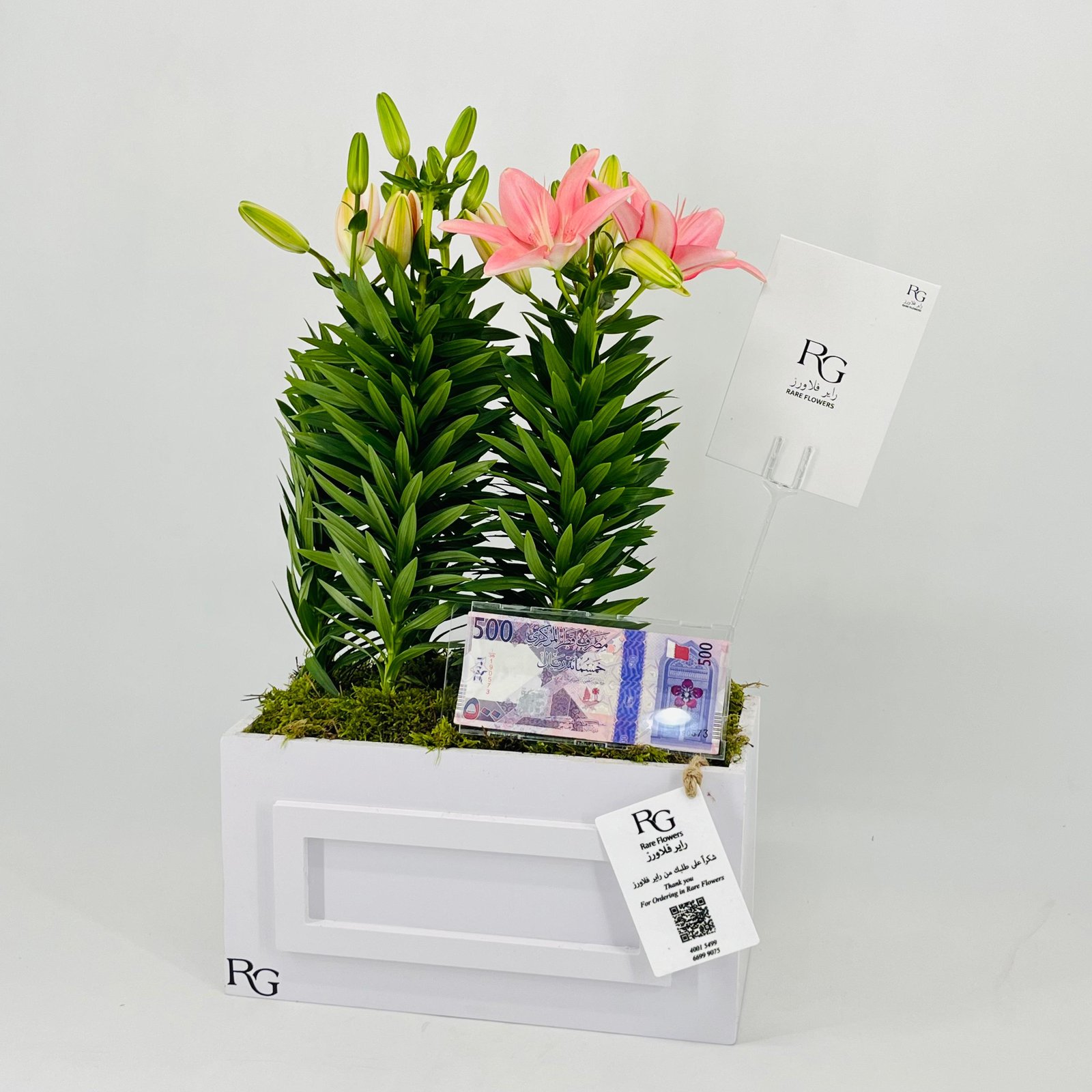 12801 - Image 2