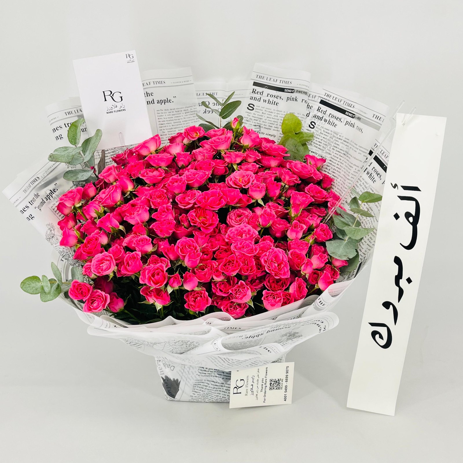 13578 - Image 3