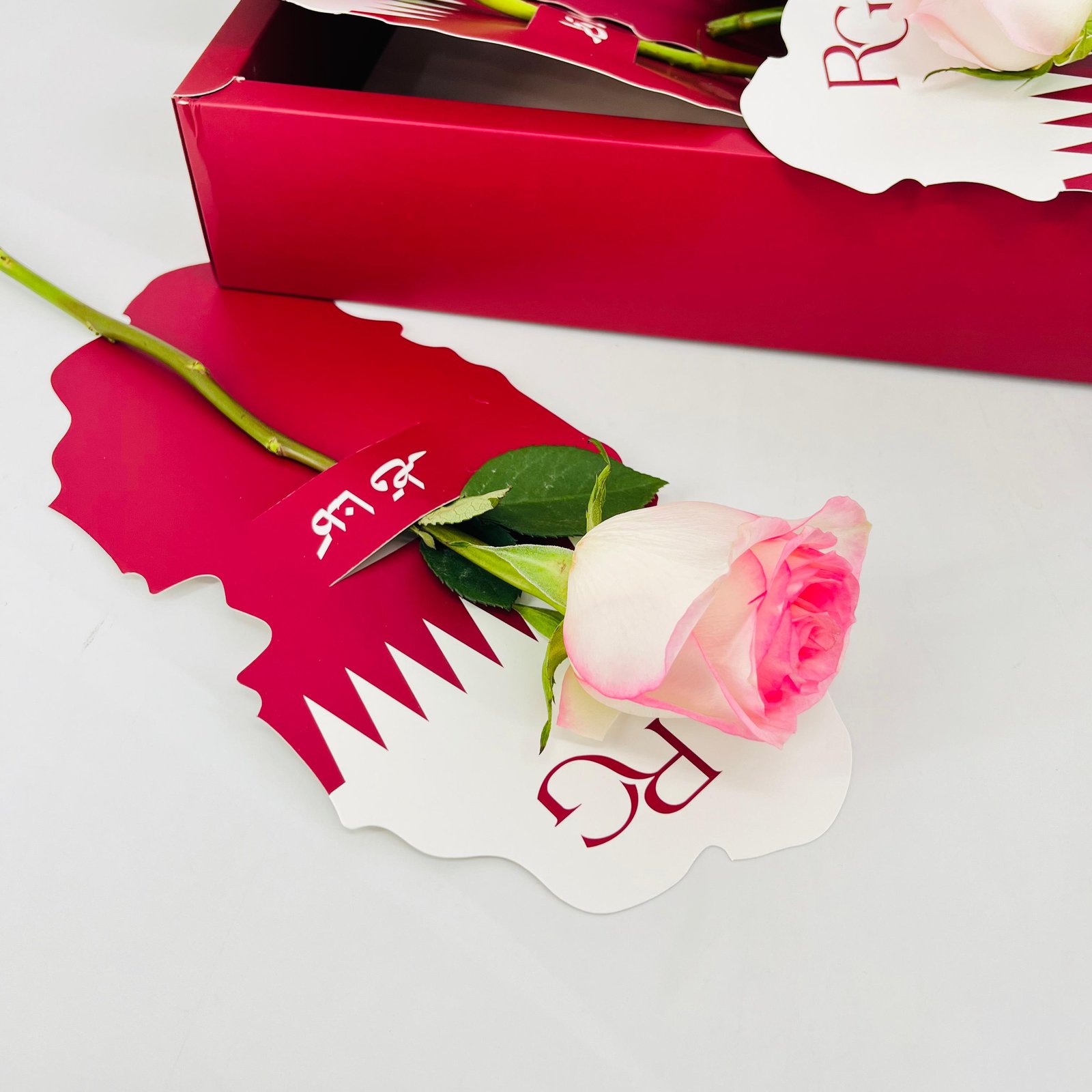 15339 - صورة 2