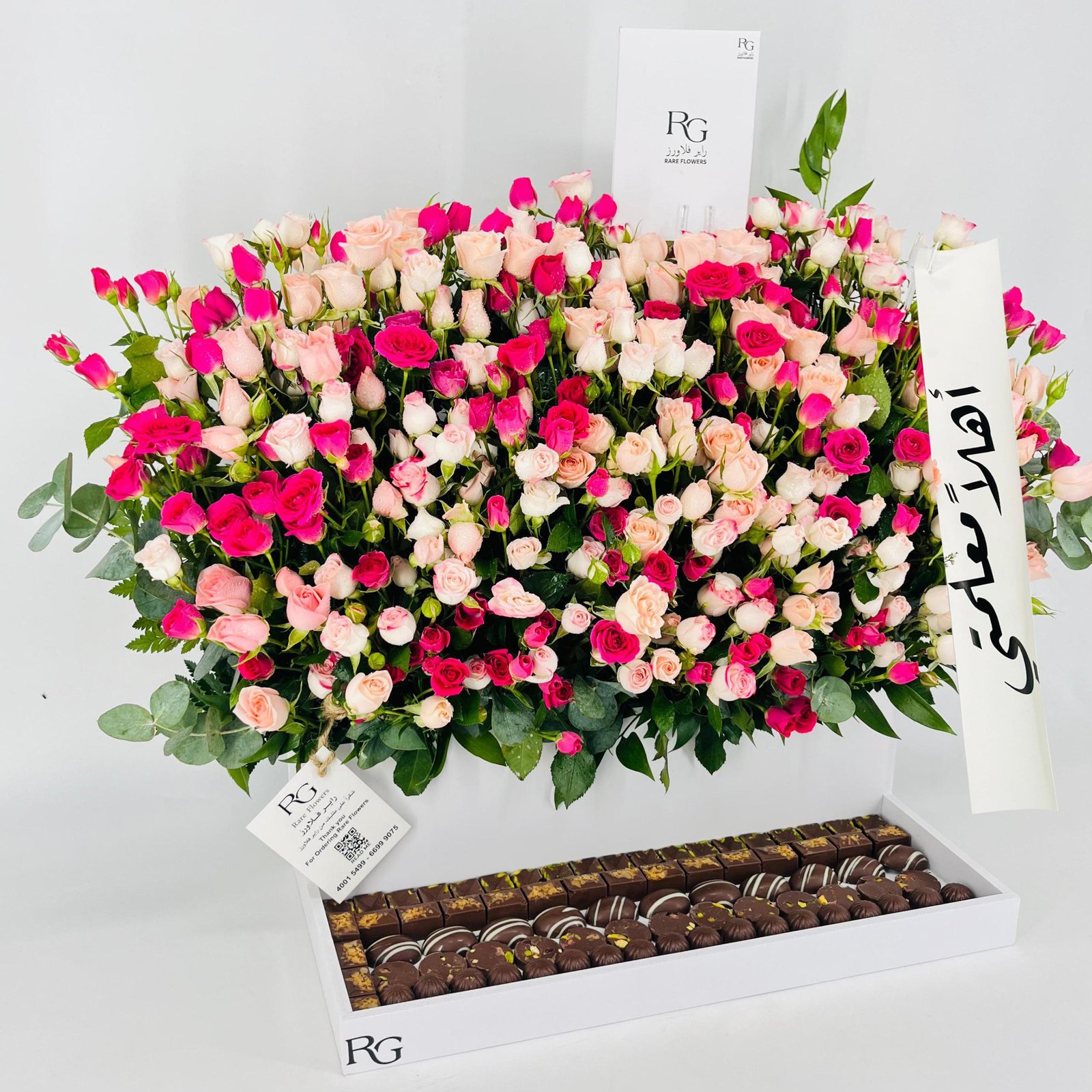 13637 - Image 2