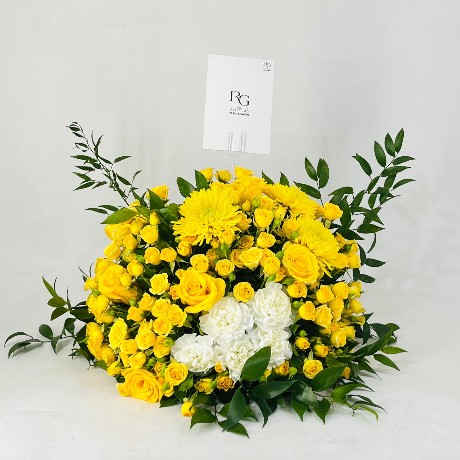 12067 - Image 1