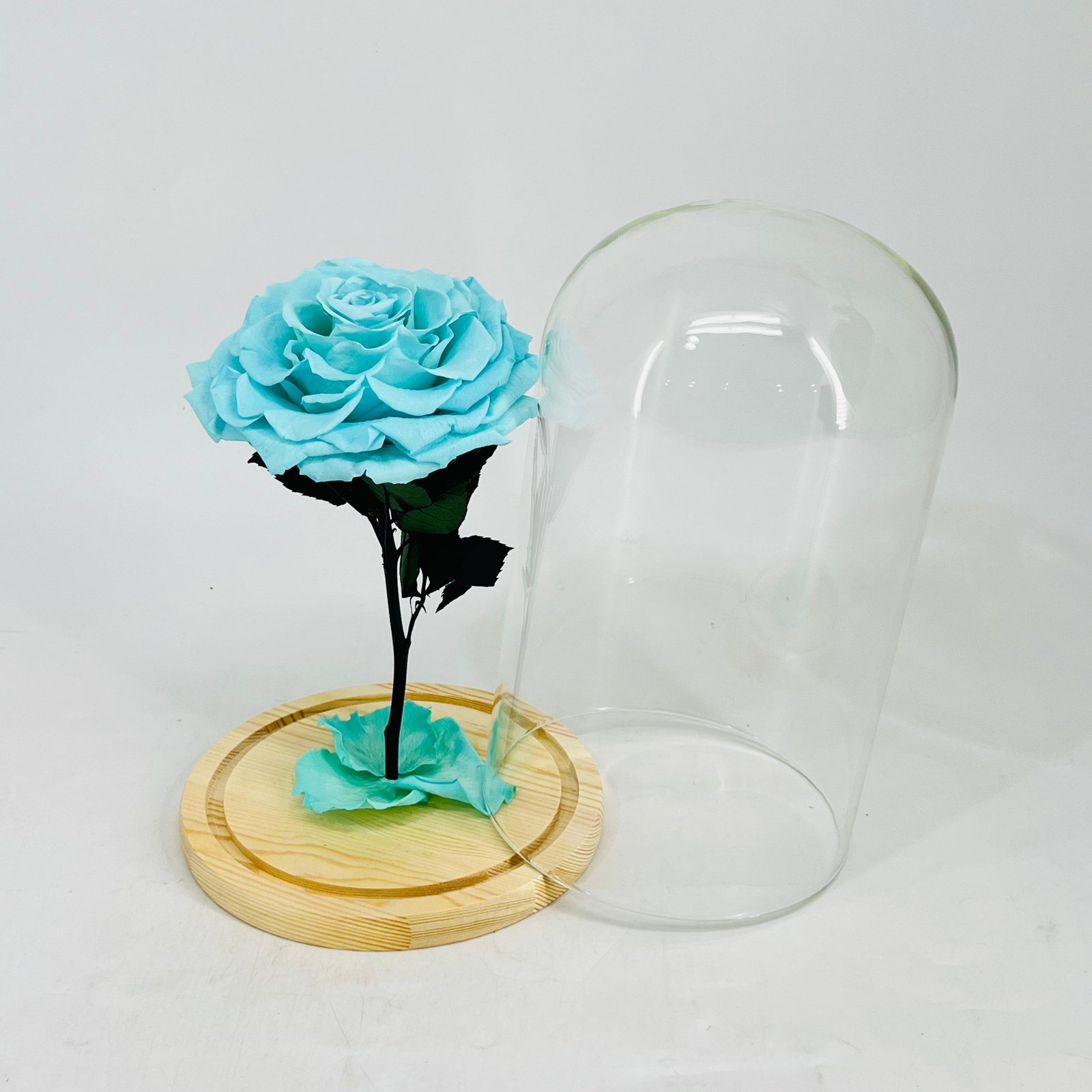 11241 - Image 2