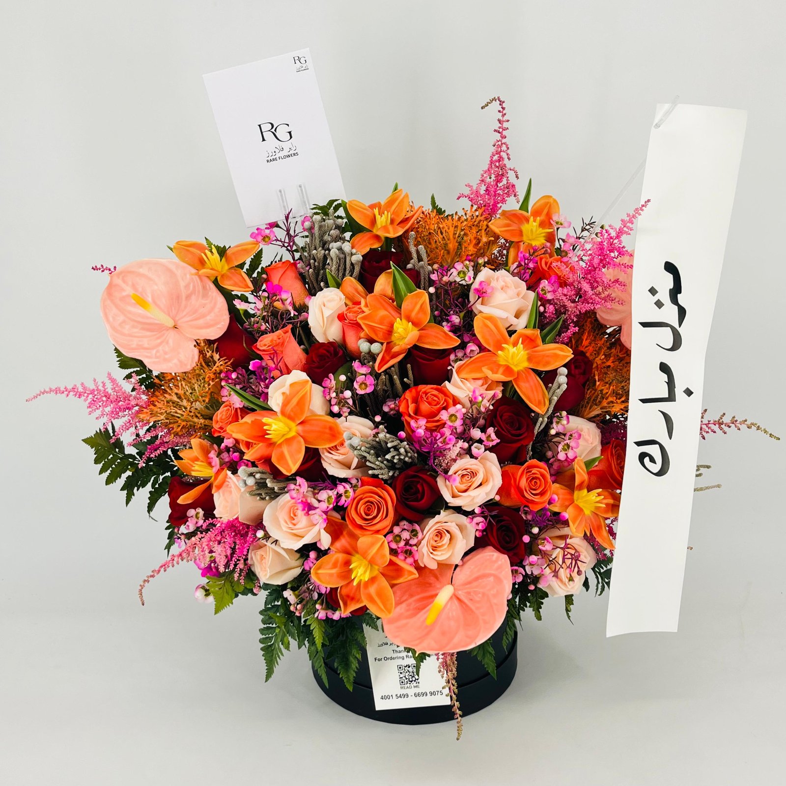 13493 - Image 4