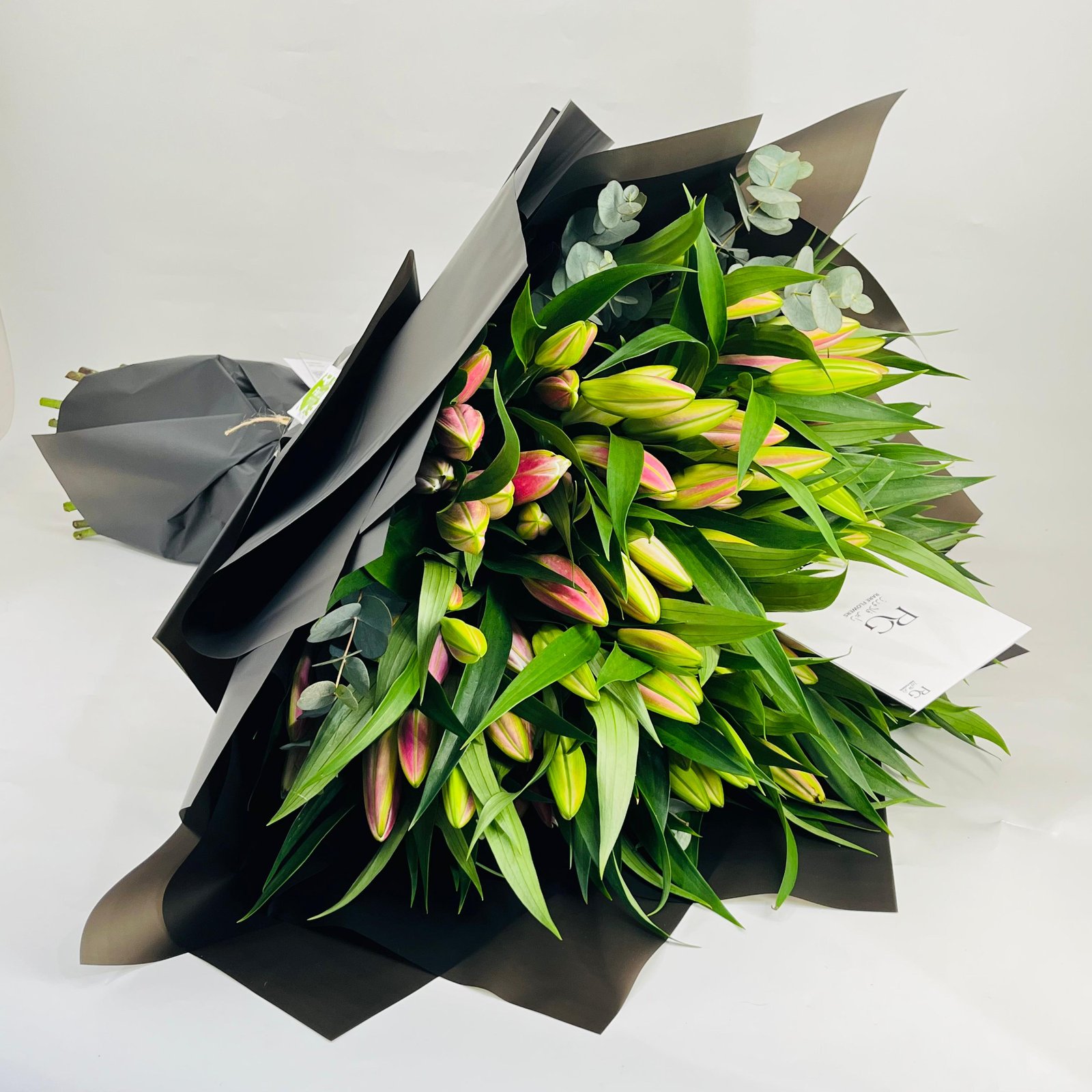 10460 - Image 1