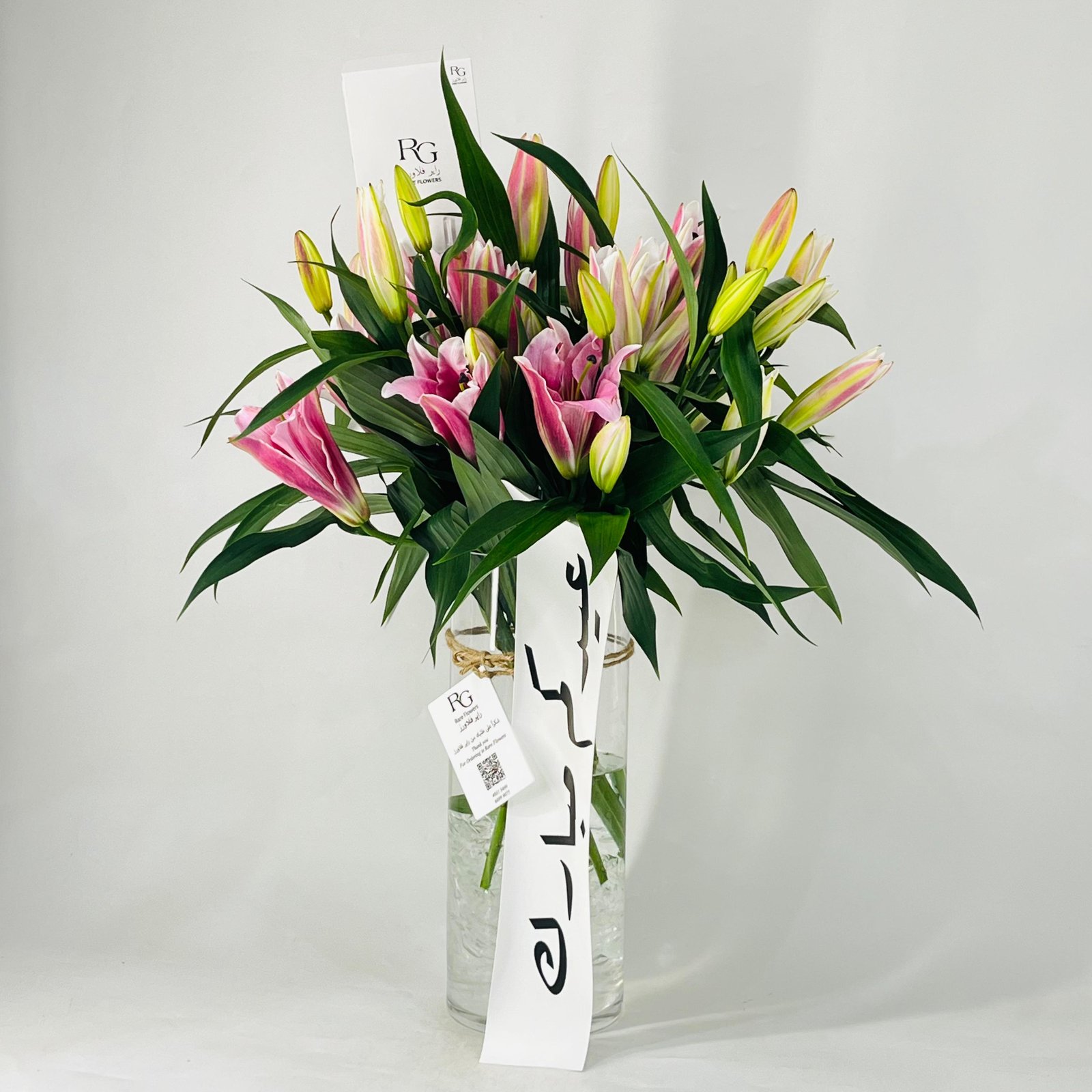 12071 - Image 3