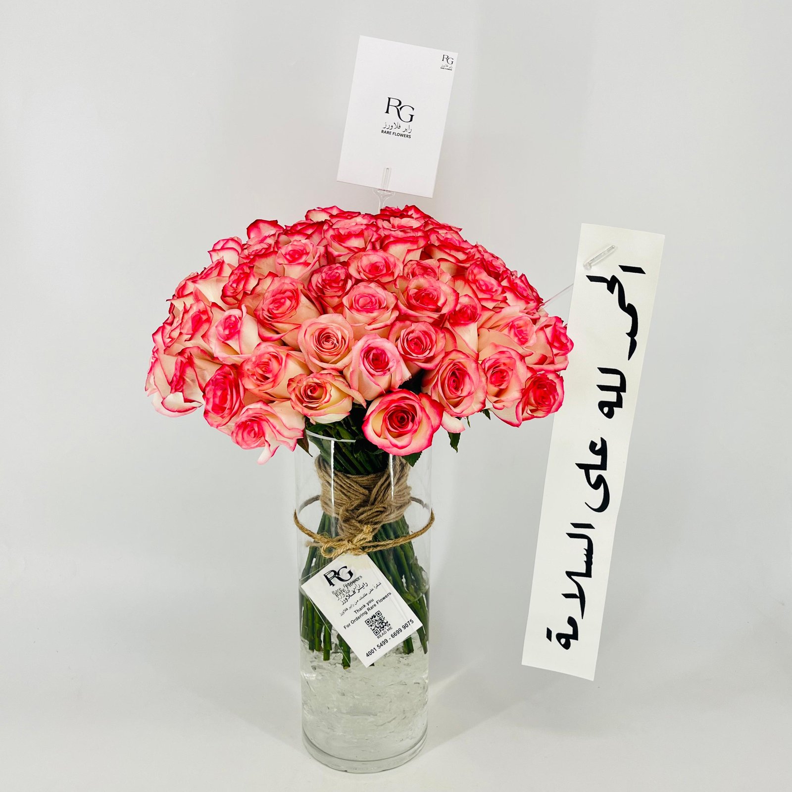 13249 - Image 4