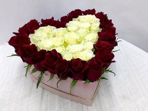 3959 - صورة 1