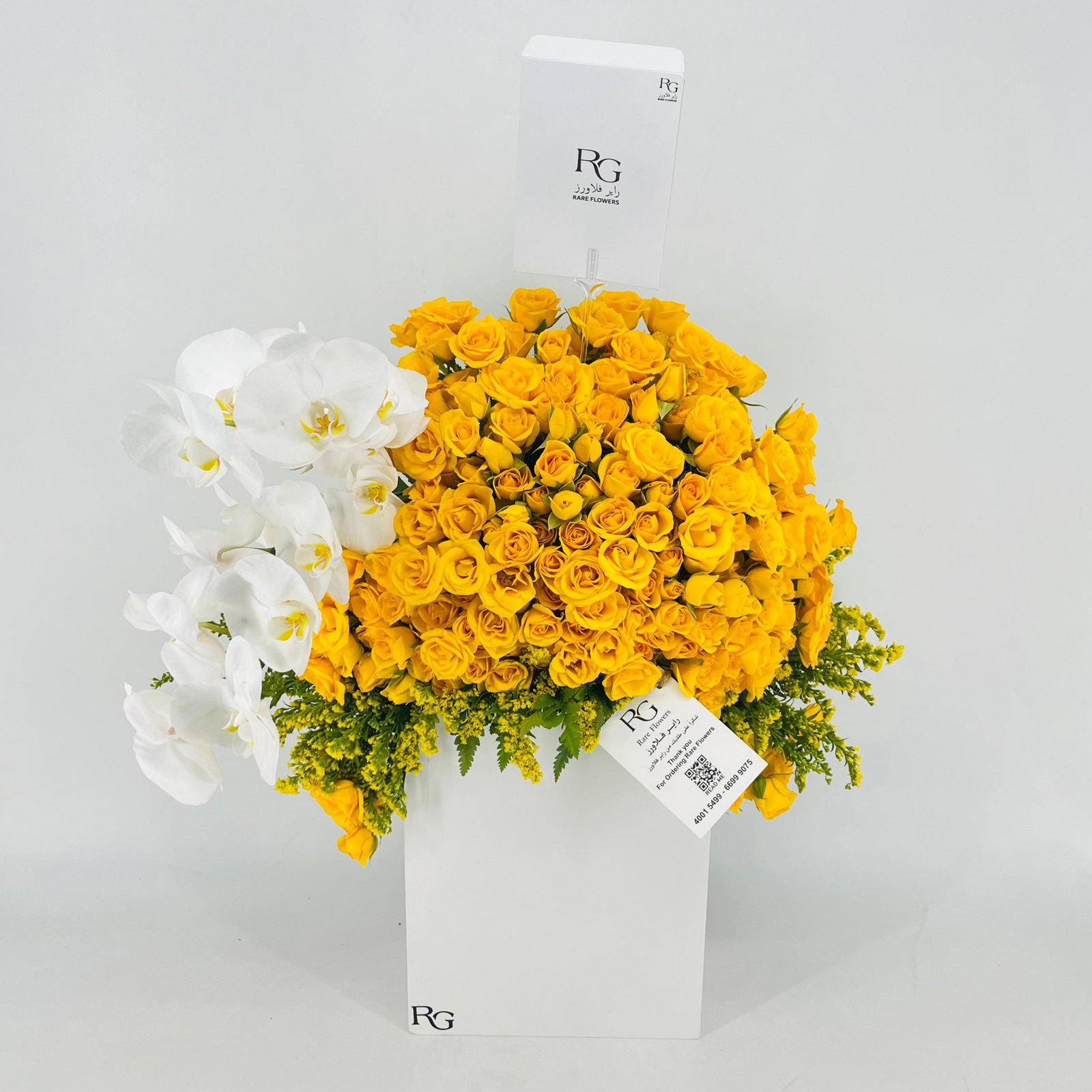13654 - Image 2