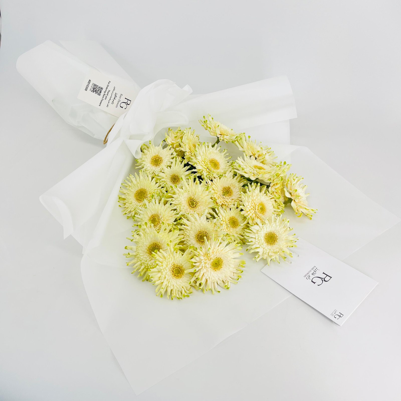 15405 - Image 1