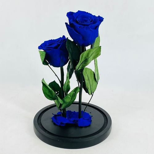 4272 - Image 3