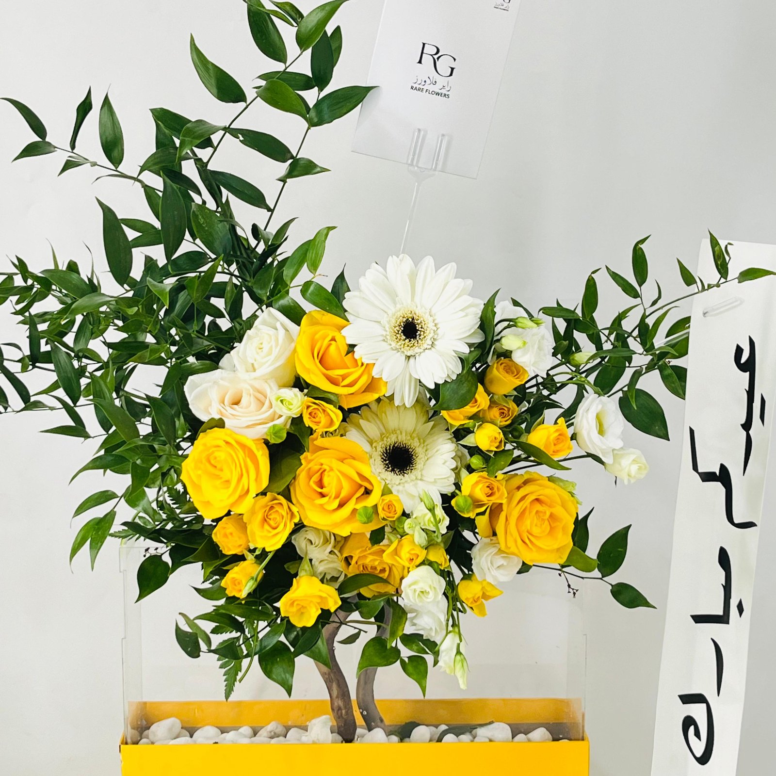 12191 - صورة 1