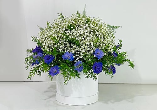 4634 - صورة 1