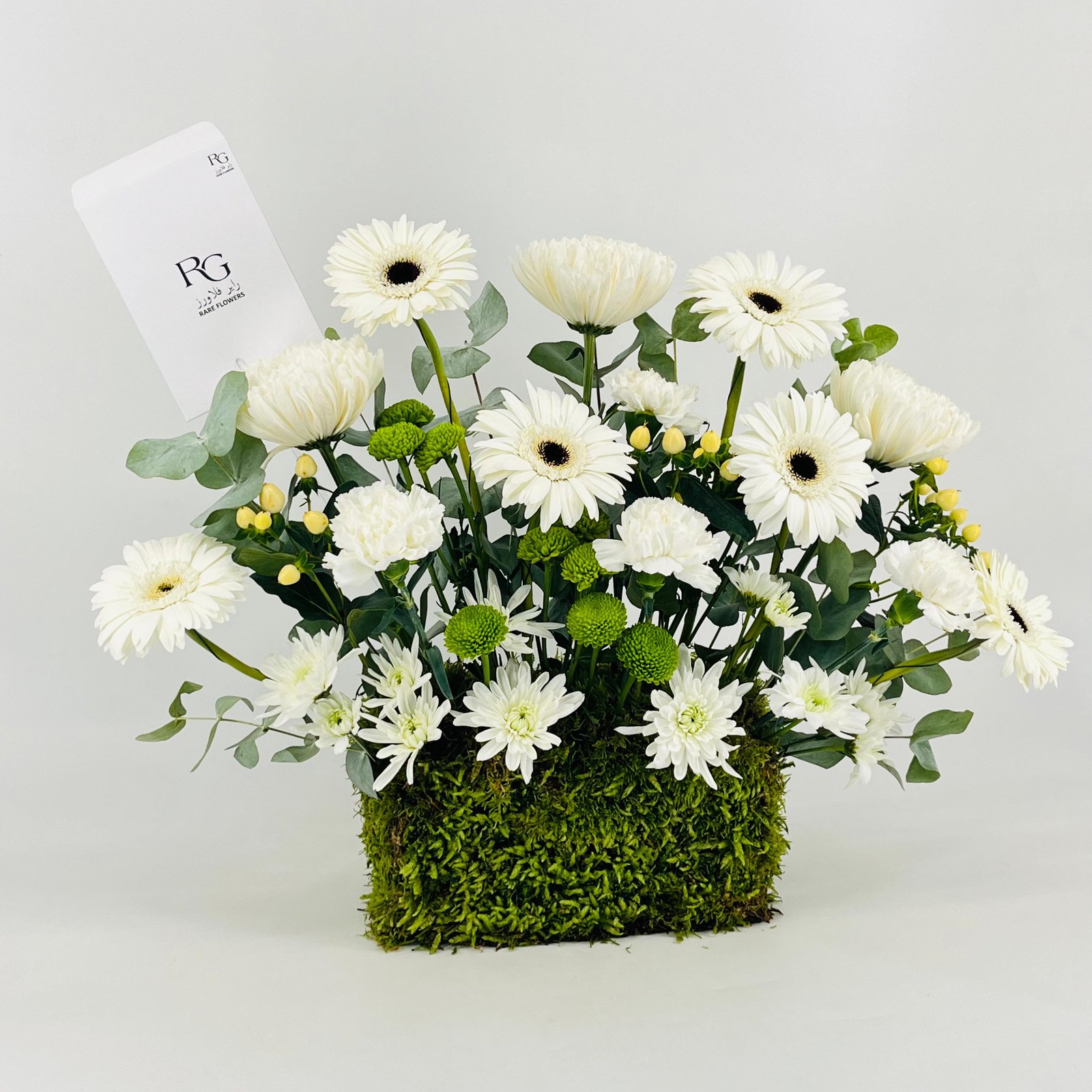 13331 - Image 4