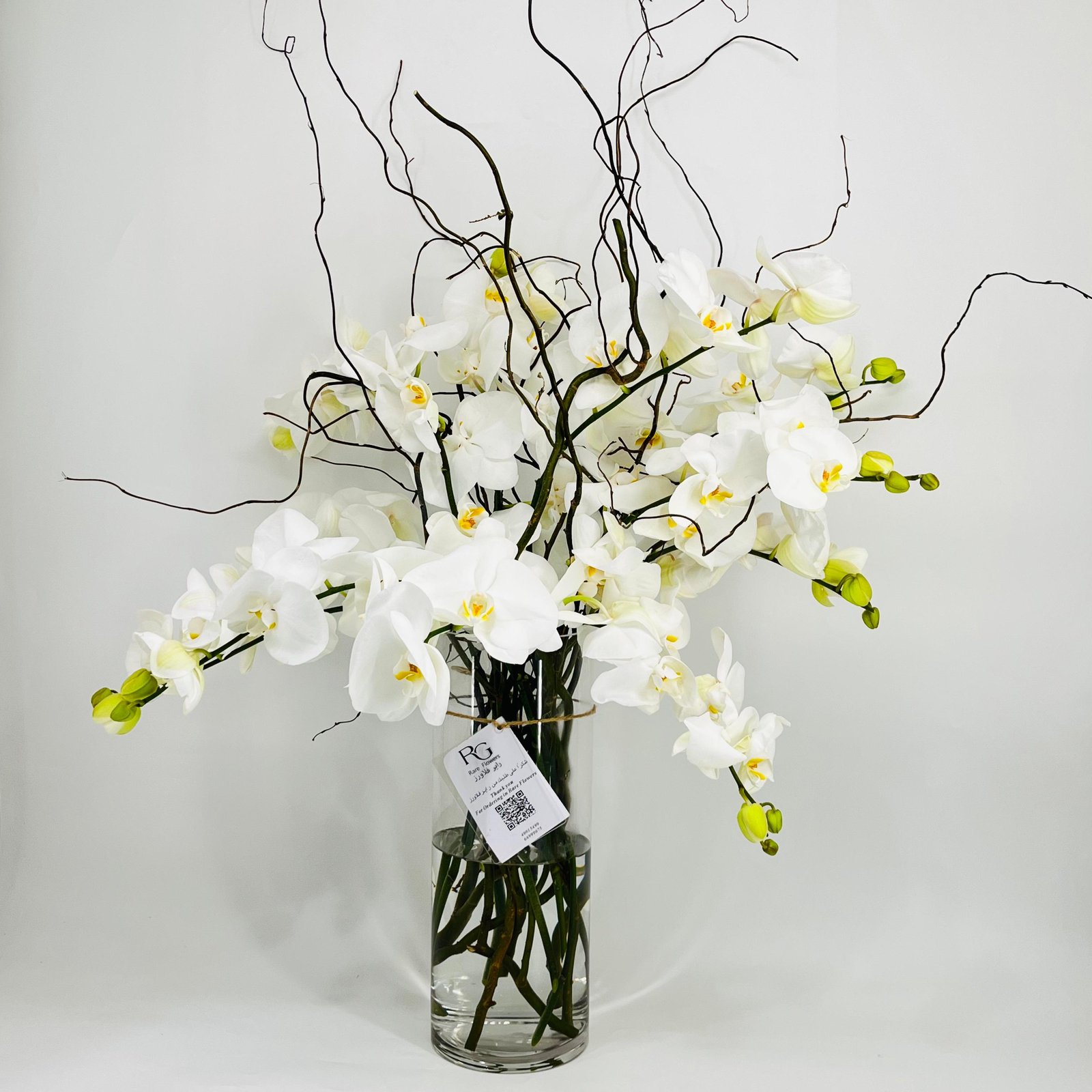 10470 - Image 3