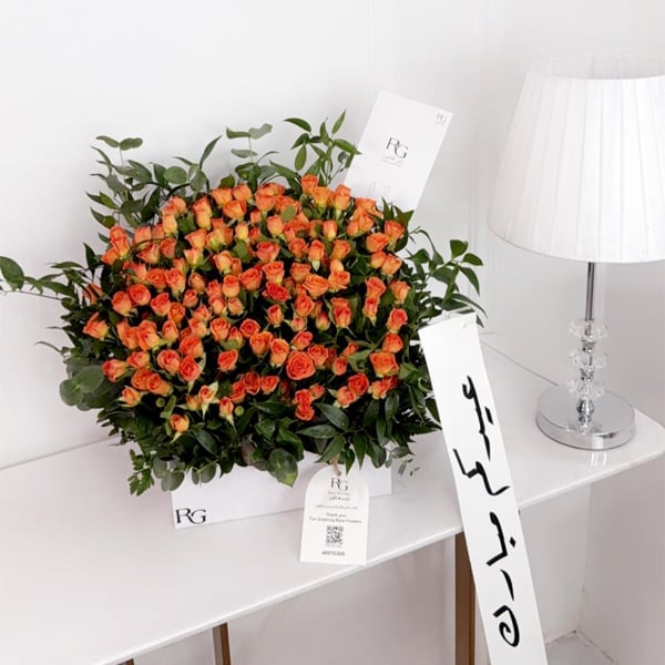 17657 - صورة 1