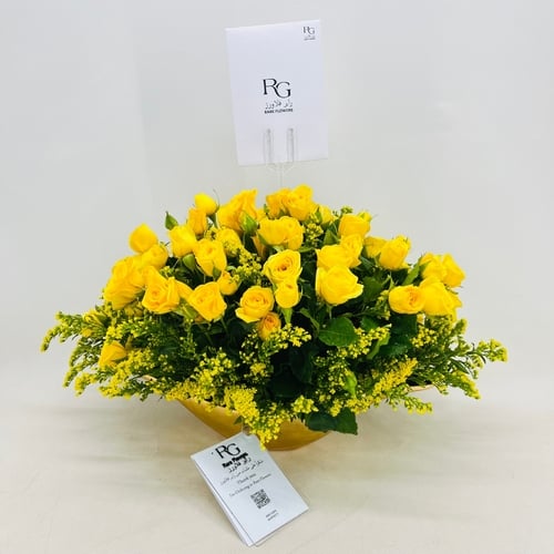 4856 - صورة 2