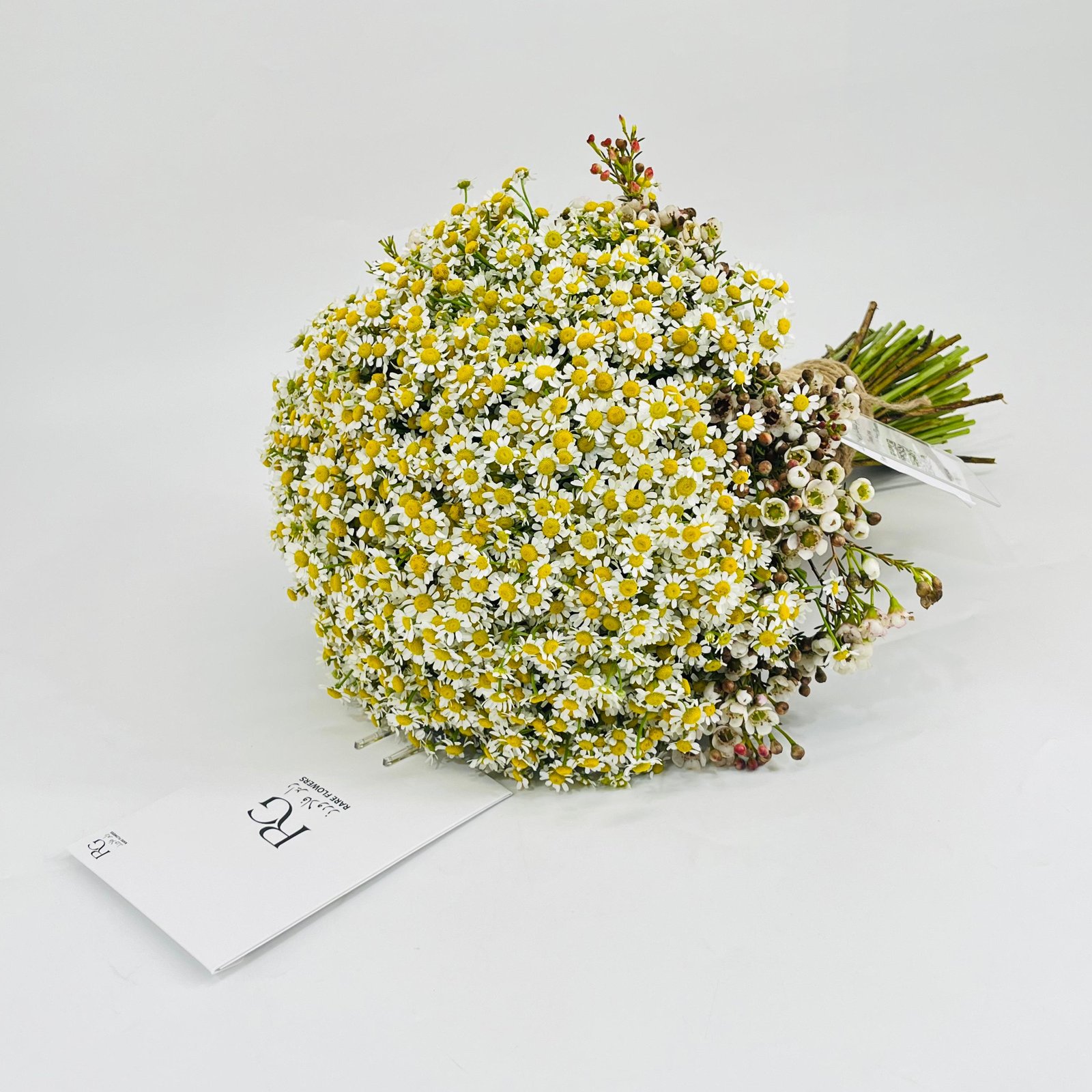 2665 - صورة 2