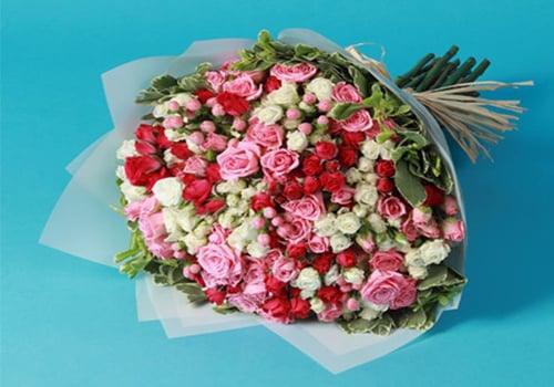 4684 - صورة 1