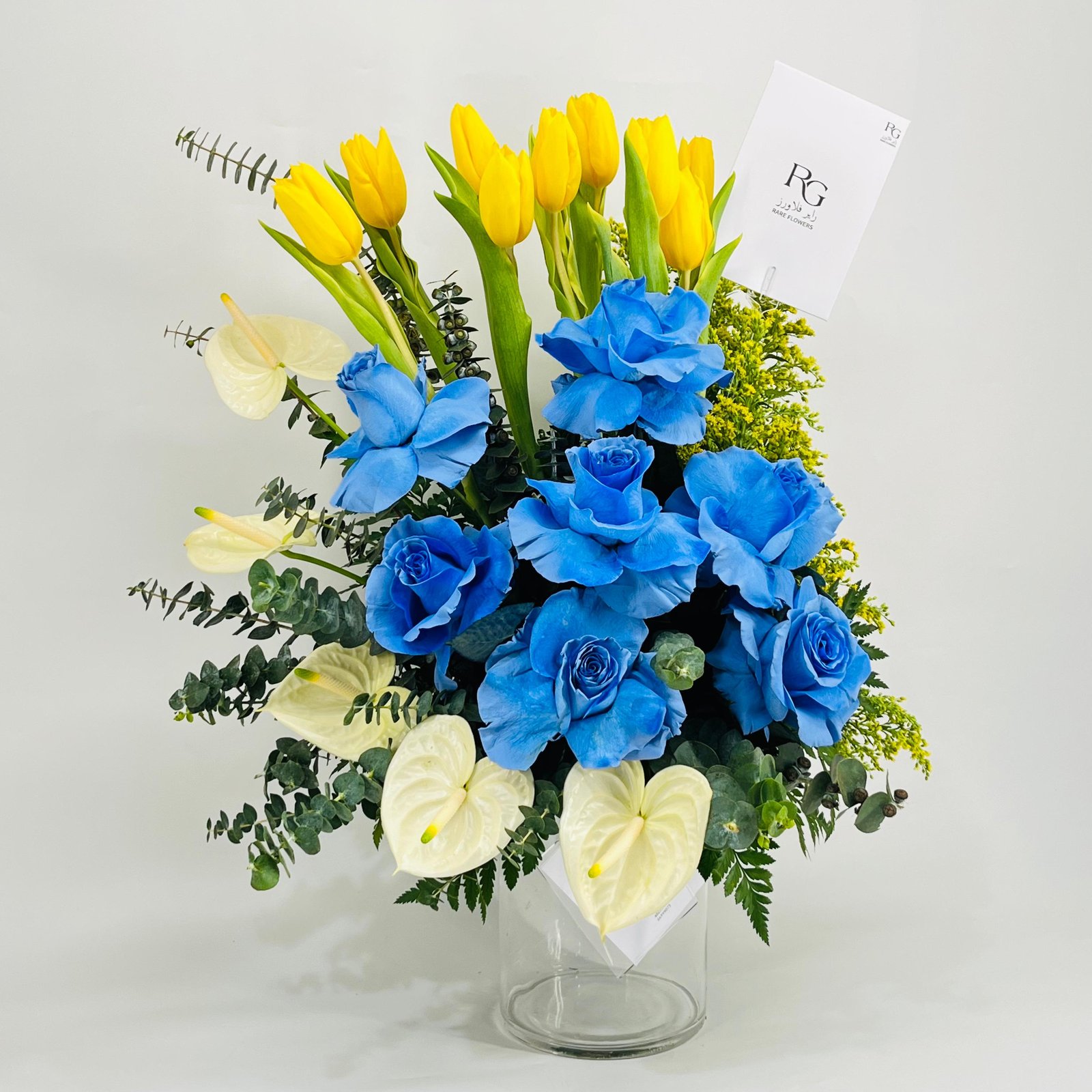 9981 - صورة 2