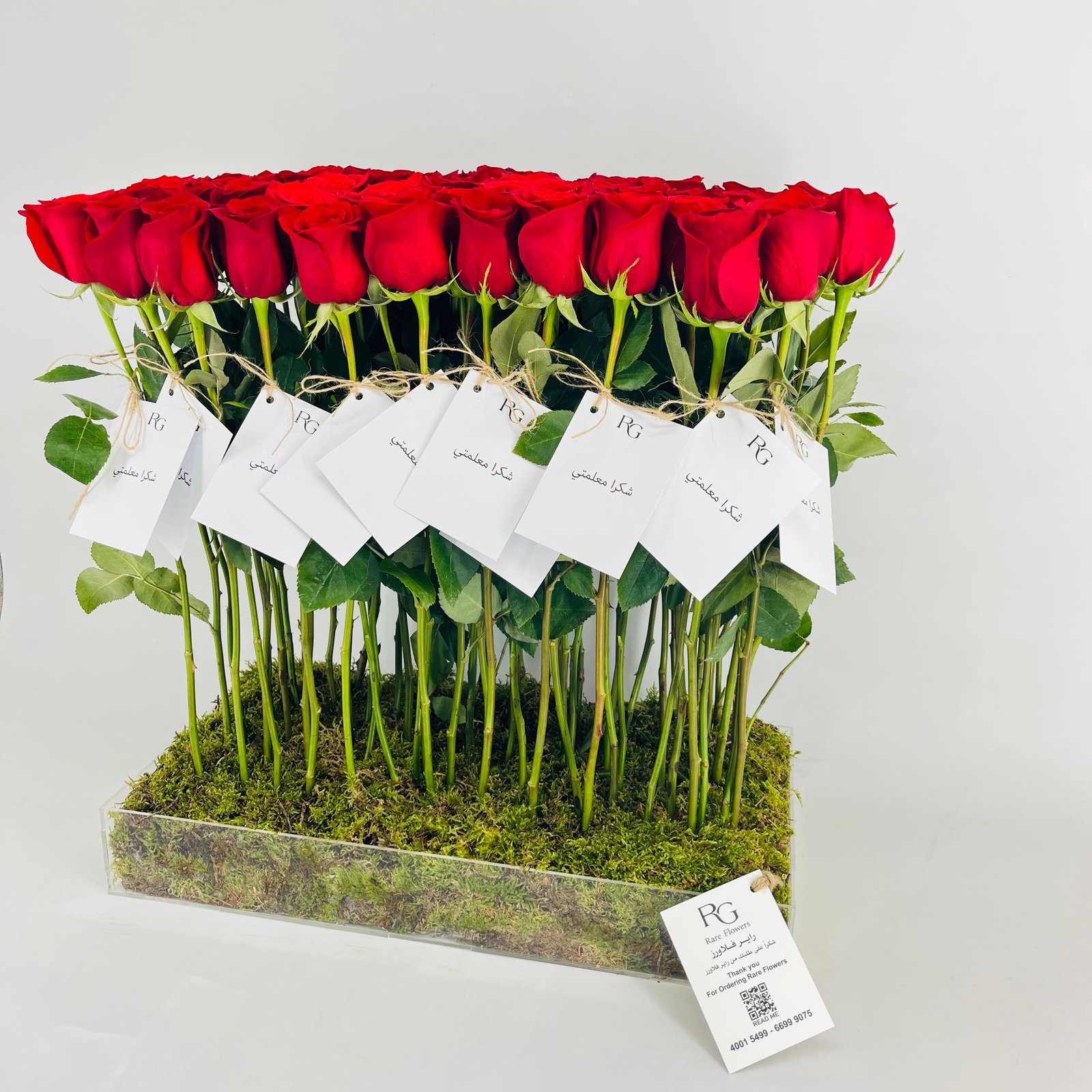 13907 - Image 3