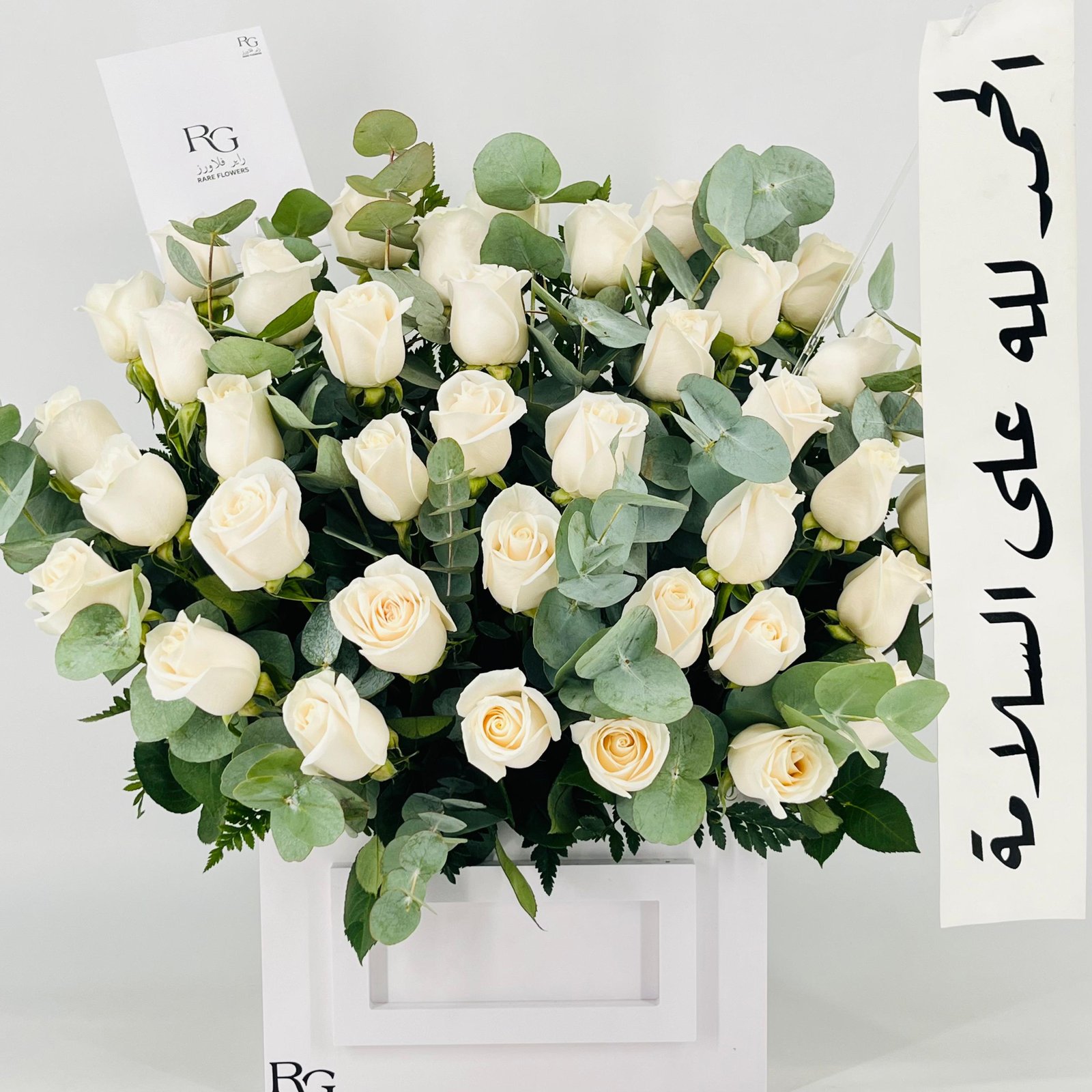 13542 - صورة 3