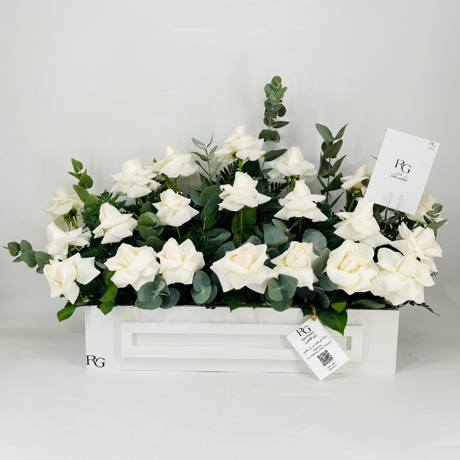11491 - Image 1