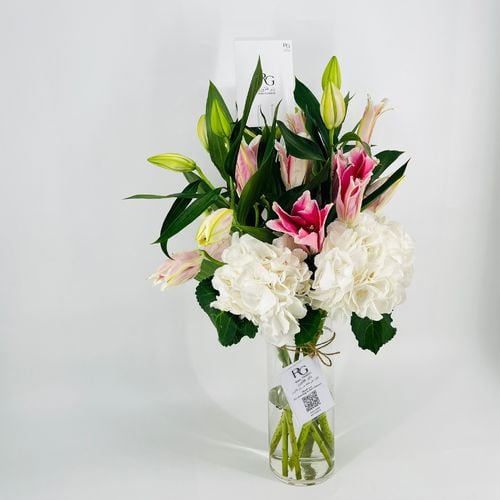 5086 - صورة 2