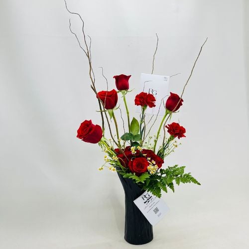 4867 - صورة 2