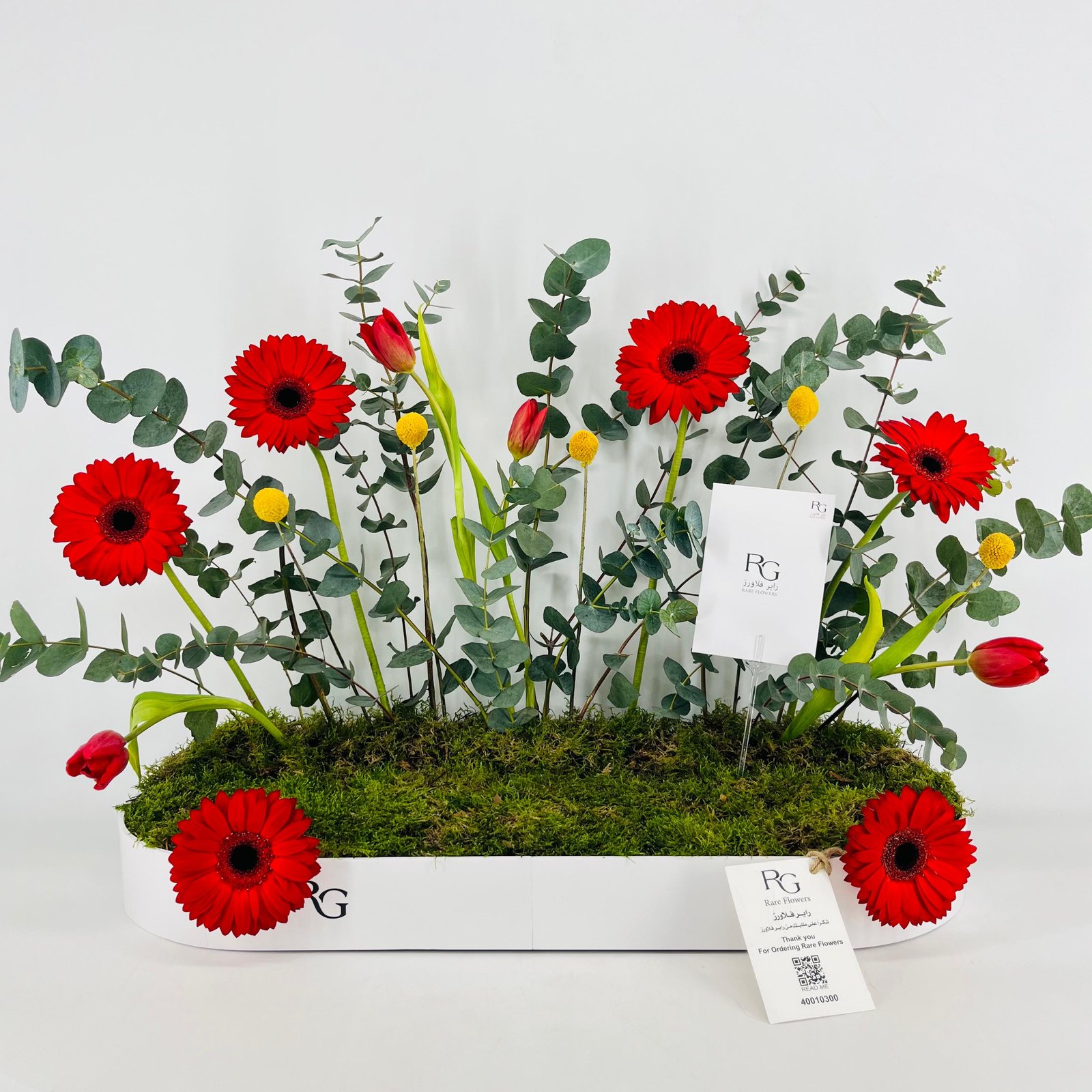 15437 - Image 1