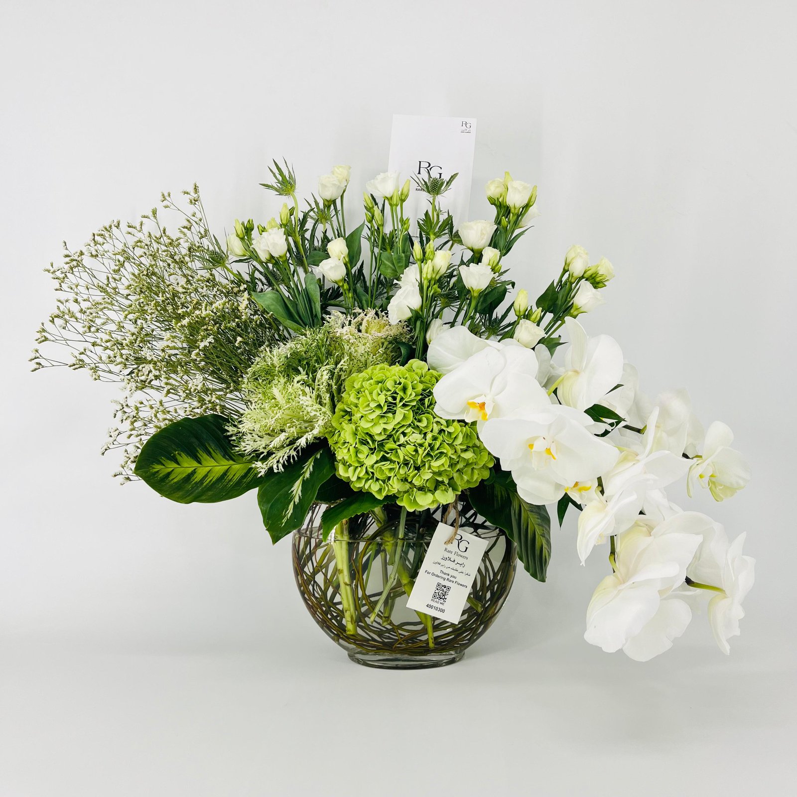 14071 - Image 1