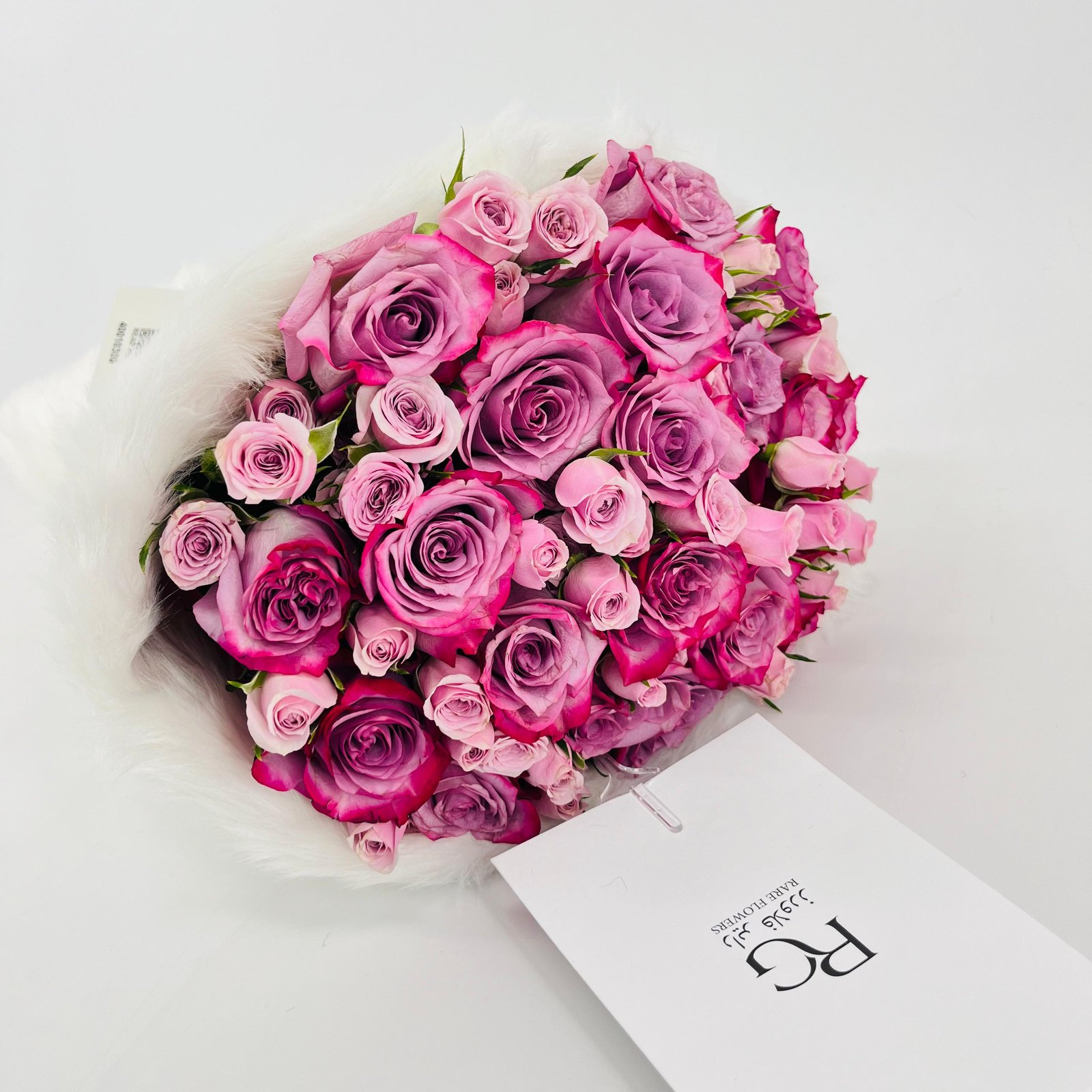 14588 - صورة 4