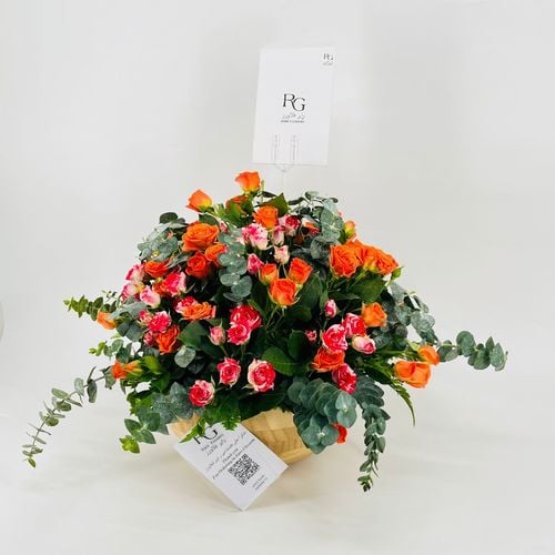 9179N - صورة 3