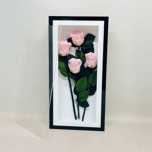 7860 - صورة 1