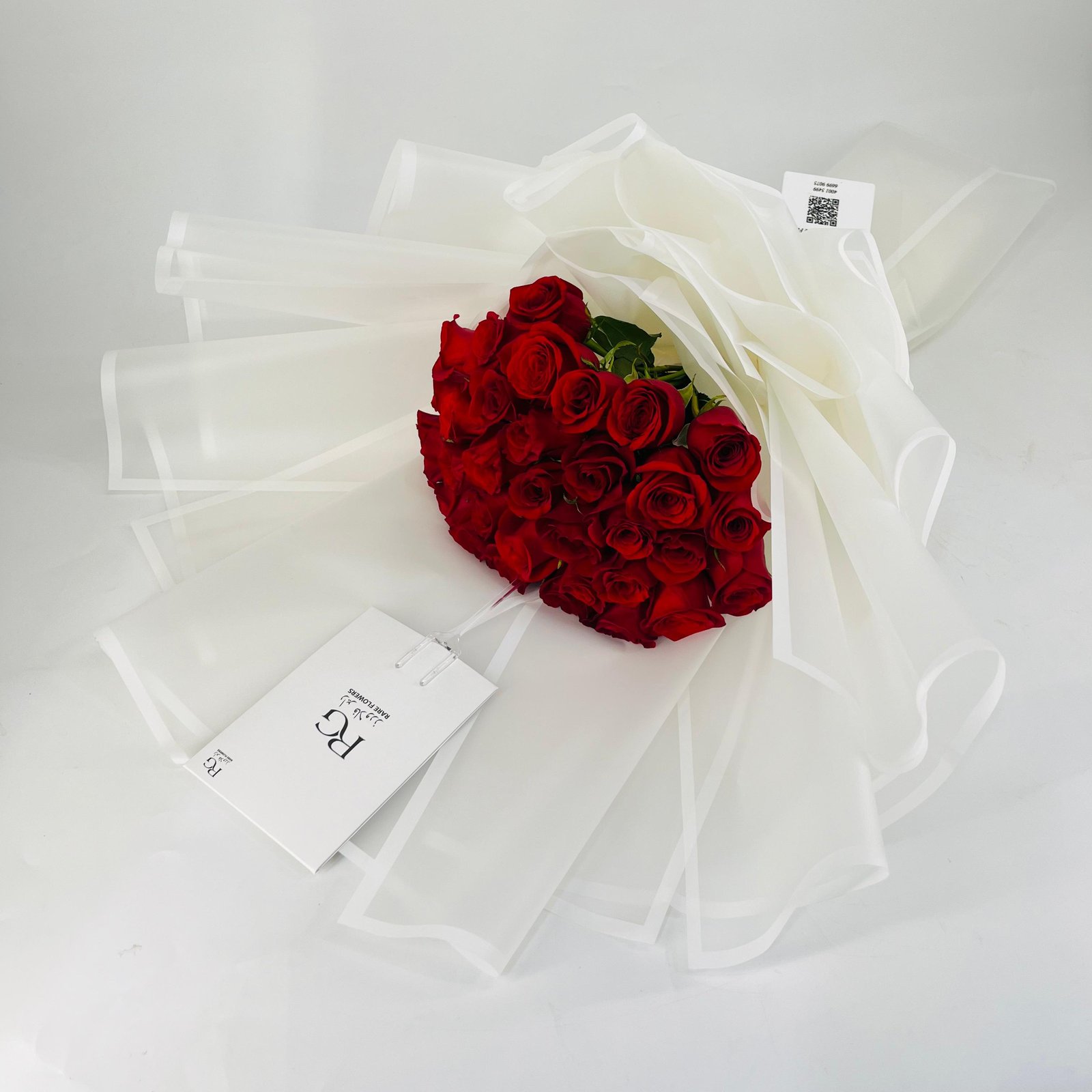 12313 - Image 2